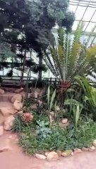 Zoološki vrt u Beču