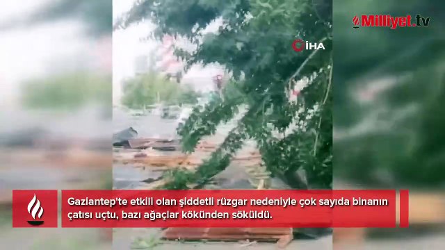Gaziantep'te şiddetli rüzgar! Çatılar uçtu, ağaçları kökünden söküldü