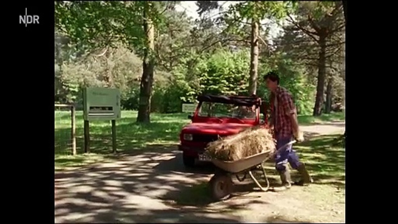 Die Pfefferkörner - Staffel 2, Folge 3. Der Bär ist los