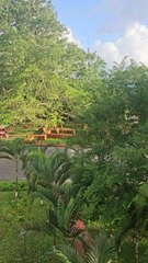 Mount Manipur National Park