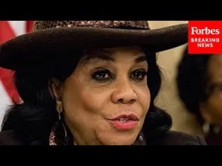 Frederica Wilson Asks Witness About Efforts To Reduce Incidents Between Cars, Pedestrians & Trains