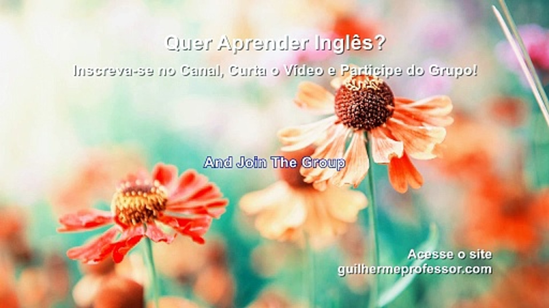 Frases em Inglês 0014 - Aprenda Inglês com Vídeos Curtos