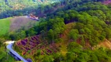 Tình yêu cho Đà Lạt - Tác giả Trịnh Nam Sơn