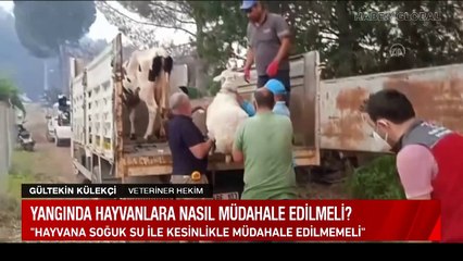 Uzmanlar yangın sonrası müdahale konusunda uyardı: Bu şekilde yapmayın