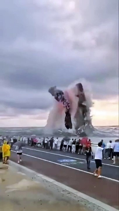 Shark attack on people