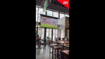 EE.UU. debuta en la Copa América 2024 y esto pasa en un bar de Nueva York: ¡Increíble!