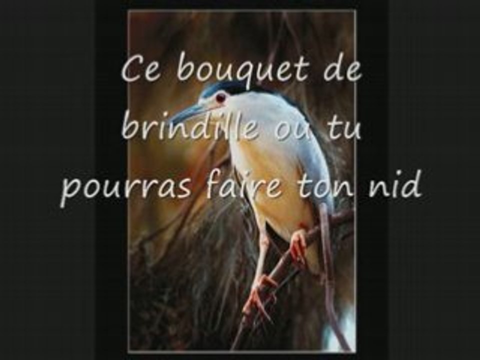 J'aurai voulu être un oiseau_0001