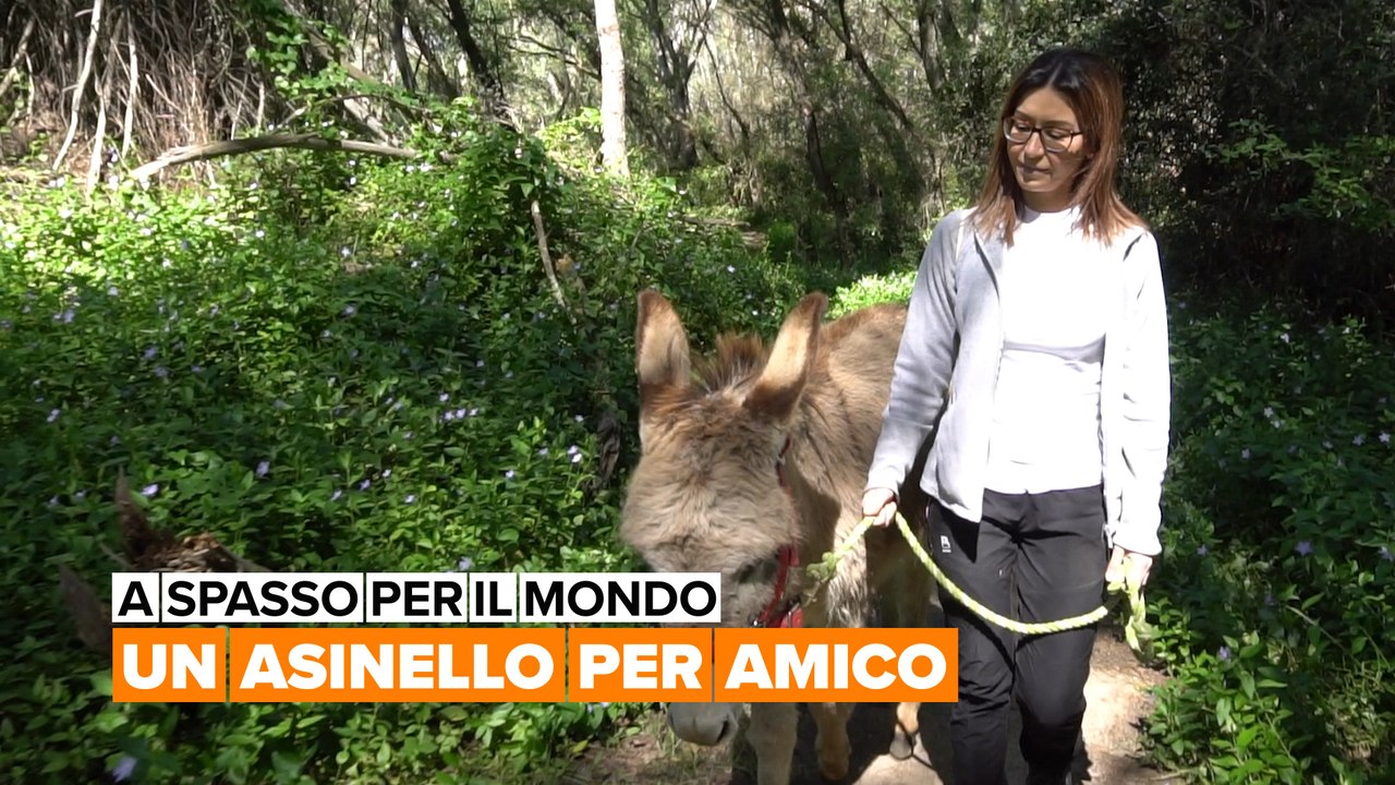 A spasso per il mondo: Un asinello per amico