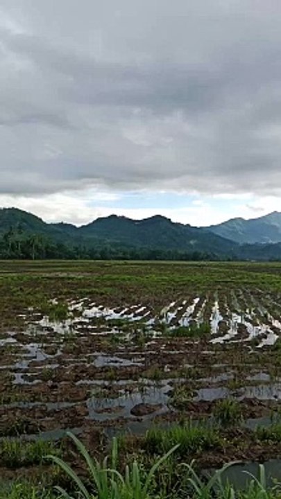 Pemandangan desa kampung halaman