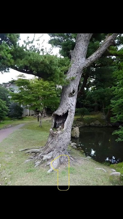 Seeing Faces in Everyday Objects - Part 54