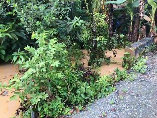 Kampung Balik Kebanjiran