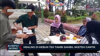 Healing di Kebun Teh Tambi Sembari Ngeteh Cantik