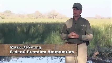 Point Blank Shot on a Huge Elephant