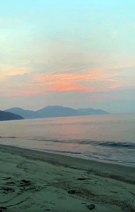 See view