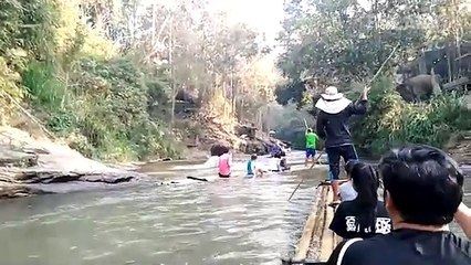 Download Videos Easily with SaveFrom.net – Free Online Video Downloader 🎥