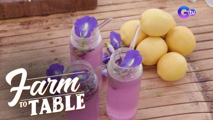 Refresh with Chef JR Royol’s Blue Ternate Lemonade 🍋 | Easy Farm-to-Table Recipe