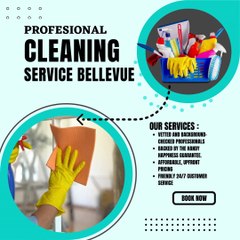 Discover PNW Power Clean for Your Home Cleaning Needs