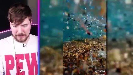 worlds-most-viewed-tiktoks