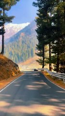 Waterfall & Mountain Views