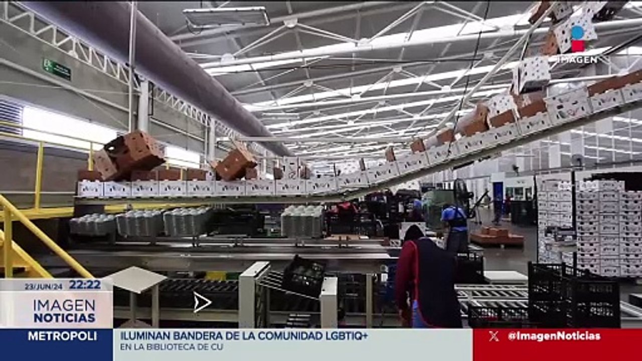 Se reanuda la exportación de aguacate y mango michoacano a Estados Unidos