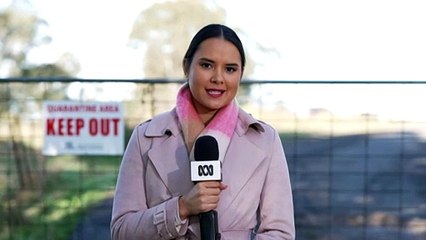 Bird flu detected at a second NSW poultry farm