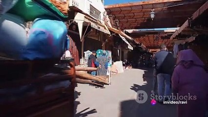 Food Security & Global Politics: Unraveling the Connection 🌍