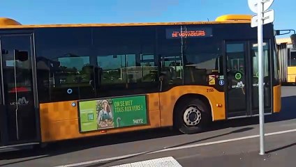 Passage de bus Agora L 0548, Mercedes-Benz Citaro G C2 1354, 2151 et 2155