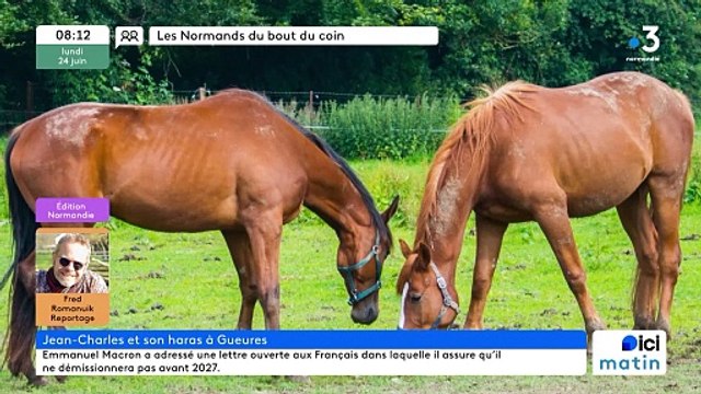 Gueures - Jean-Charles et ses chevaux