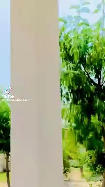 Wang kahry shaher wasiye ne