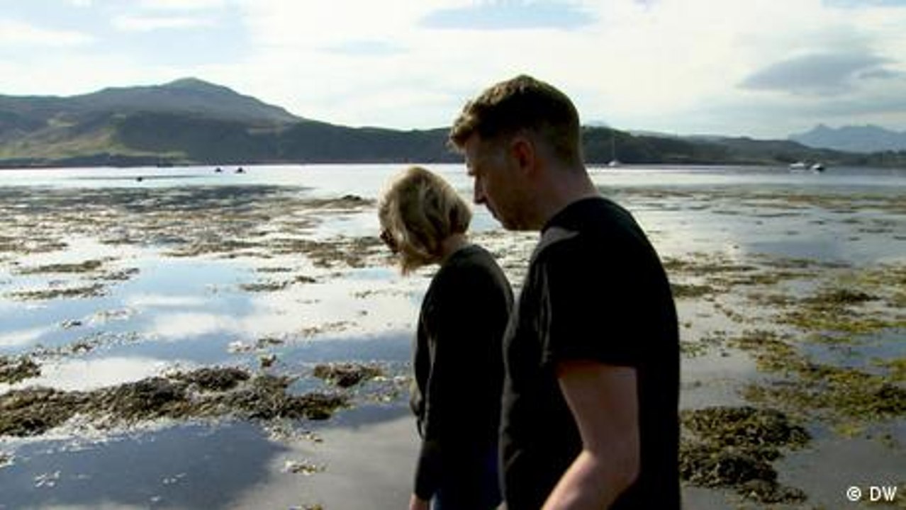 Mit Algen die Welt retten