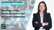 Chauffage au bois : l’avenir du secteur face aux coupes budgétaires [Alix Merle]