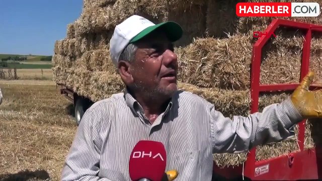 Edirne'de balya işçileri, kavurucu sıcakta günde 4 bin lira kazanıyor