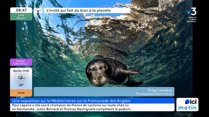 Une expo pour sensibiliser à la protection marine sur la promenade des anglais