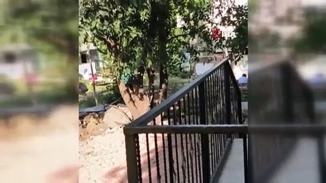 Bursa'da magandalar dehşet saçtı