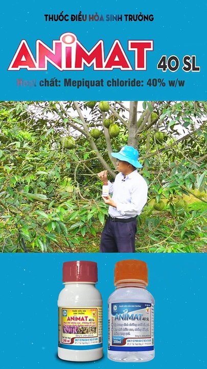 ANIMAT - ỨC CHẾ ĐỌT, CHỐNG RỤNG HIỆU QUẢ TRÊN SẦU RIÊNG