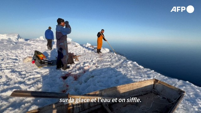 Groenland : les derniers chasseurs d'Ittoqqortoormiit