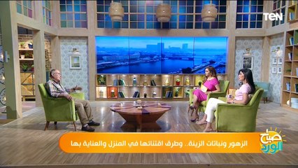 د. السعدي بدوي أستاذ نباتات الزينة يوضح النباتات التي تصلح للزراعة داخل المنزل وقليلة التكلفة