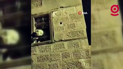 20 gündür kayıp Kangal cinsi köpek harabe binada hapsedilmiş halde bulundu