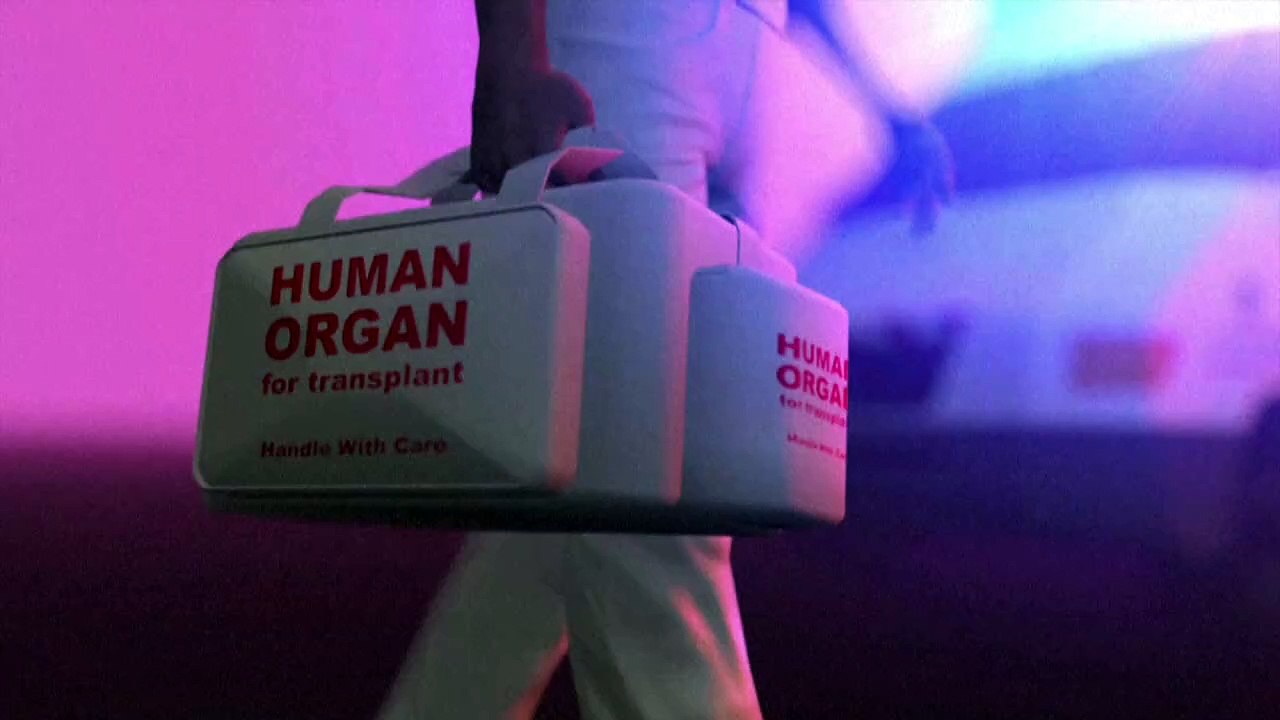 Videografik: organspenden und -transplantationen