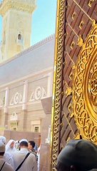 Islamic videos daily beautiful Islam daily