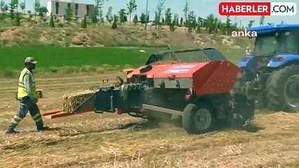 Ankara'da BAKAP Tarım Kampüsü'nde İlk Hasat Yapıldı