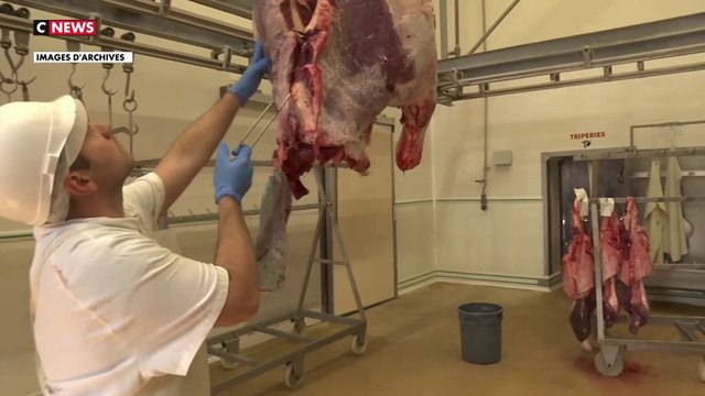 Élections législatives : l'abattage rituel conservé en cas de victoire du Rassemblement national