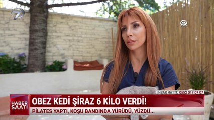 Kanal 7 Haber Saati - 21 Haziran 2024