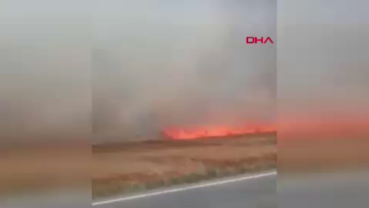 Tekirdağ'da 180 dönüm ekili buğday yandı; 3 kişi dumandan etkilendi