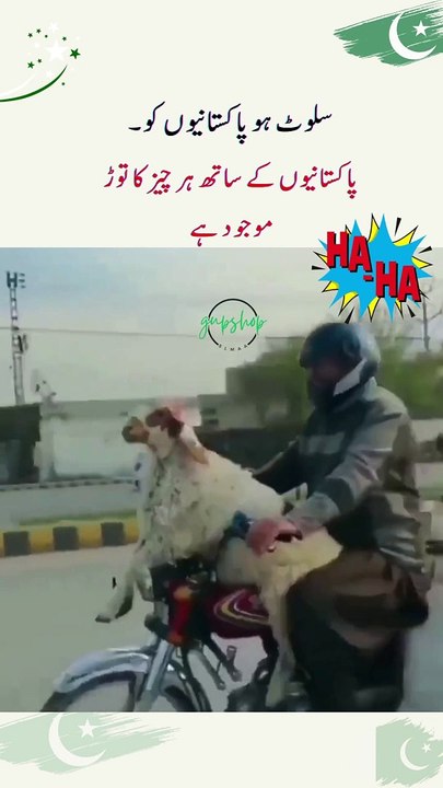 پاکستانیوں کے ساتھ ہر چیز کا توڑ موجود ہے __pakistan _pakistani _pakistanpeople _pakistanvlog _whatpeoplethinkofpakistan _lovepakistan(MP4)