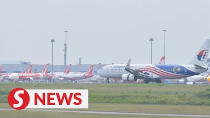 Govt welcomes airlines increasing fleet size as it will lead to competitive airfares