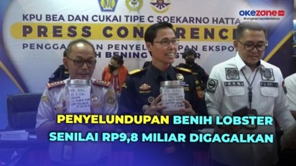 2 Wanita Diturunkan dari Pesawat di Bandara Soetta Usai Bawa Puluhan Ribu Benih Lobster Senilai Rp9,8 Miliar