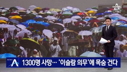 성지순례하다 1300명 사망…‘이슬람 의무’에 목숨 건다