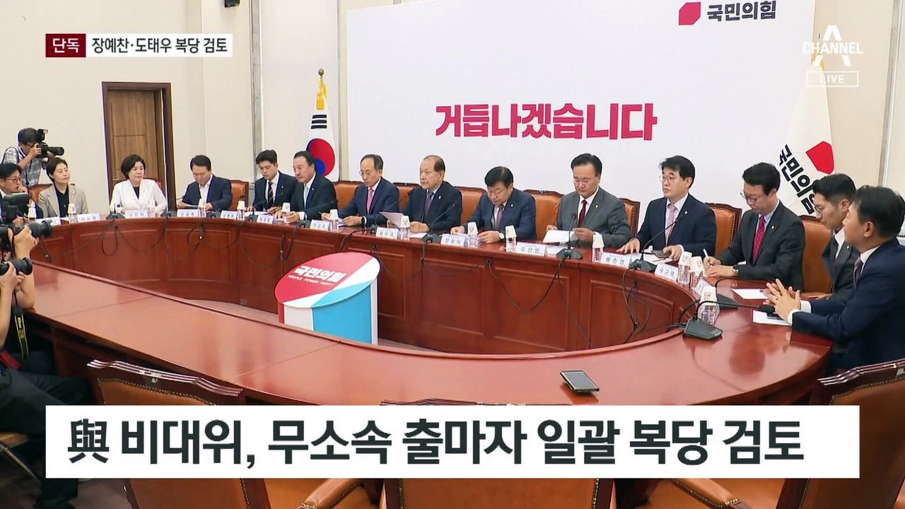 [단독]국민의힘, 장예찬·도태우 복당 검토