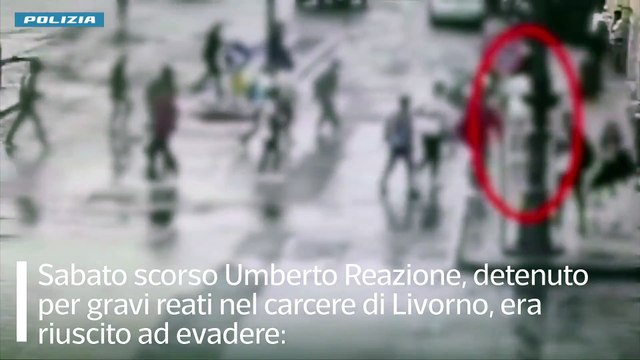 Evaso dal carcere di Livorno: identificato e arrestato dalla polizia